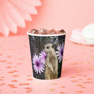 Gobelets En Papier Fleur Curieuse : Meerkat Parmi Les Marguerites Vio