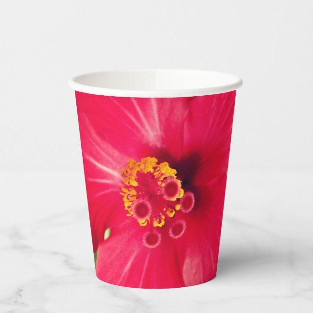 Gobelets En Papier Fleur rouge de Hibiscus Rosa-sinensis (Gauche)
