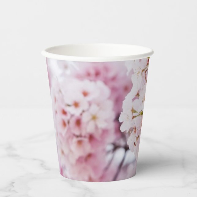 Gobelets En Papier Fleurs de cerisiers (Recto)