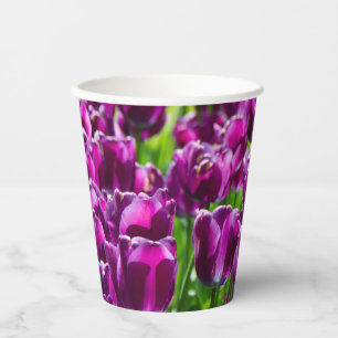 Gobelets En Papier Grand champ de tulipes pourpres