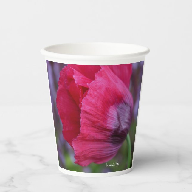 Gobelets En Papier Joli Poppy rose et violet (Recto)