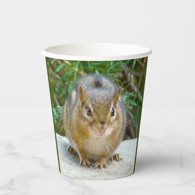 Gobelets En Papier Le Cute Chipmunk A L'Oeil Sur Vous (Recto)