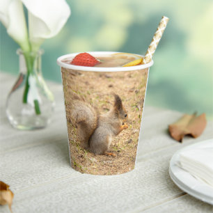 Gobelets En Papier L'écureuil mignon mange une photo de noix
