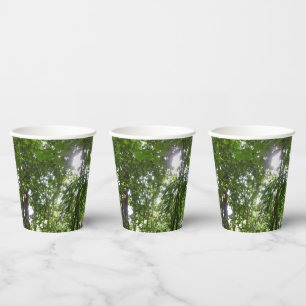 Gobelets En Papier Lumière du soleil à travers la canopée de la forêt
