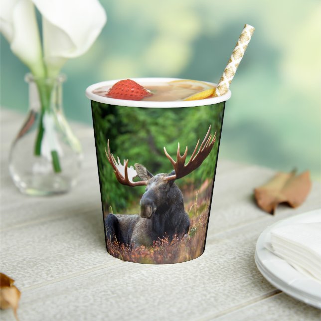 Gobelets en papier Moose (Insitu)