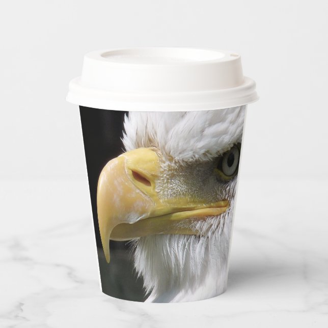 GOBELETS EN PAPIER OISEAU D'AGLE (Recto)
