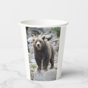Gobelets En Papier Ours kodiak