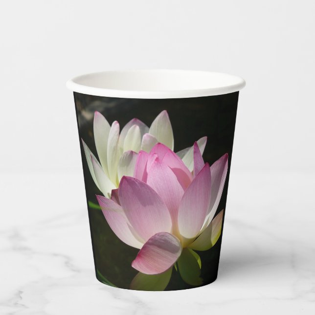 Gobelets En Papier Paire de fleurs de Lotus II (Recto)