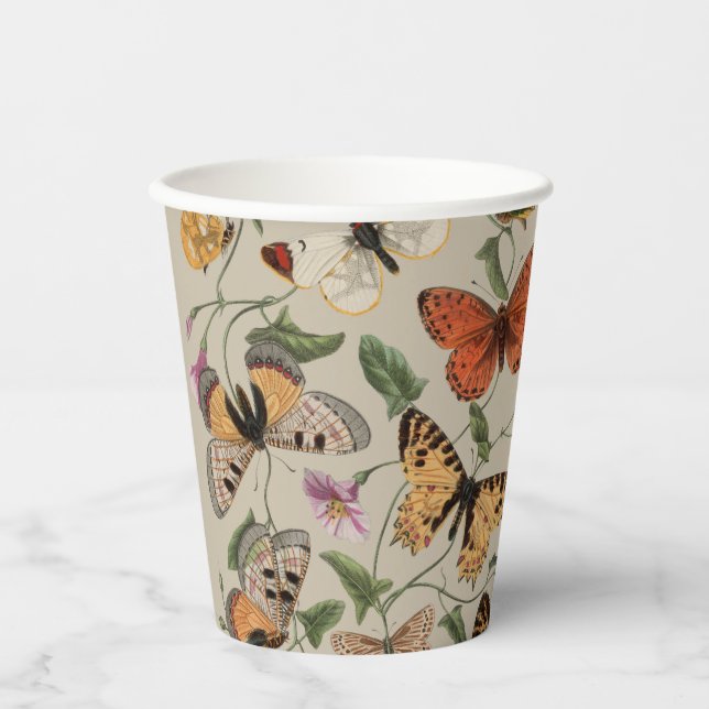 Gobelets En Papier Papillon Moth Nature Collection Dessin (Recto)
