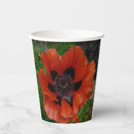 Gobelets En Papier Pavot d'Orient  