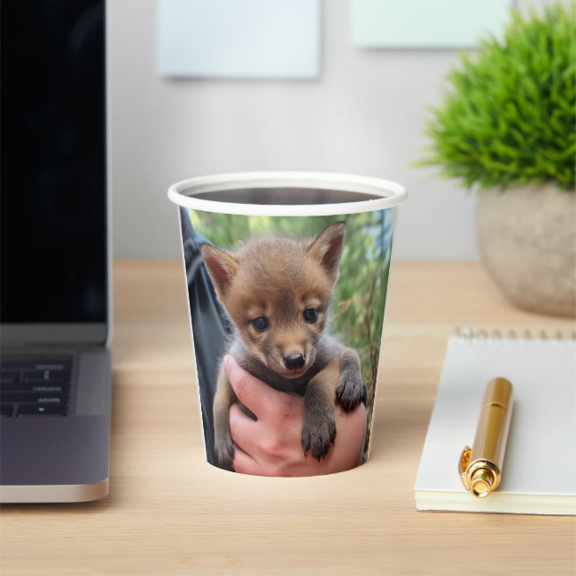 Gobelets En Papier Petit Coyote (Insitu)