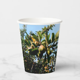 Gobelets En Papier Pommes