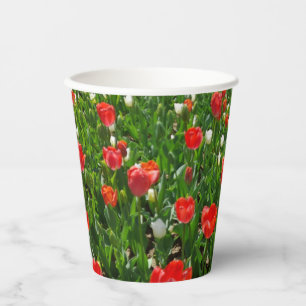 Gobelets En Papier Red Tulip Flower Field Nature Photographie