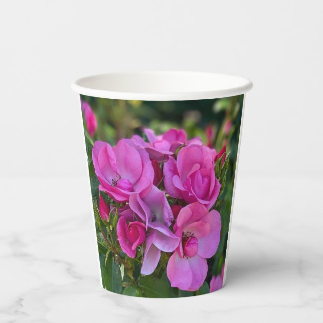 Gobelets En Papier Rose lavande (Verso)