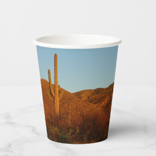 Gobelets En Papier Saguaro Sunset I Arizona Désert Paysage