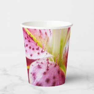 Gobelets En Papier Stargazer Lily brillant Magenta Floral