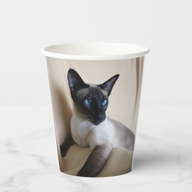Gobelets En Papier Superbe visage de chat siamois (Recto)