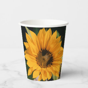 Gobelets En Papier Tasses de papier tournesol