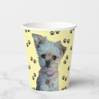 Gobelets En Papier Tasses en papier