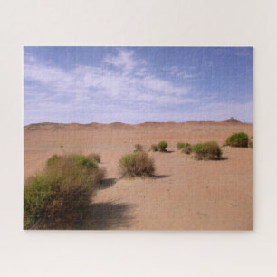 Gobi-Wüstenansicht