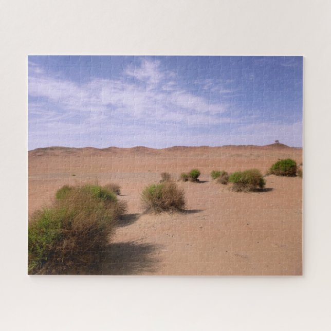 Gobi-Wüstenansicht (Horizontal)