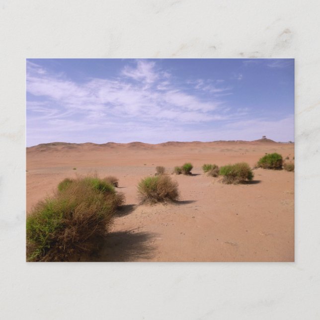 Gobi-Wüstenansicht Postkarte (Vorderseite)