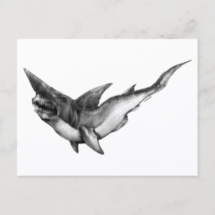 Goblin Shark - Postkarte