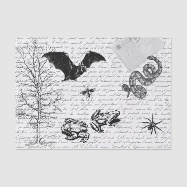 Goblincore Frosch Bat Animal Decoupage Seidenpapier (Vorderseite)