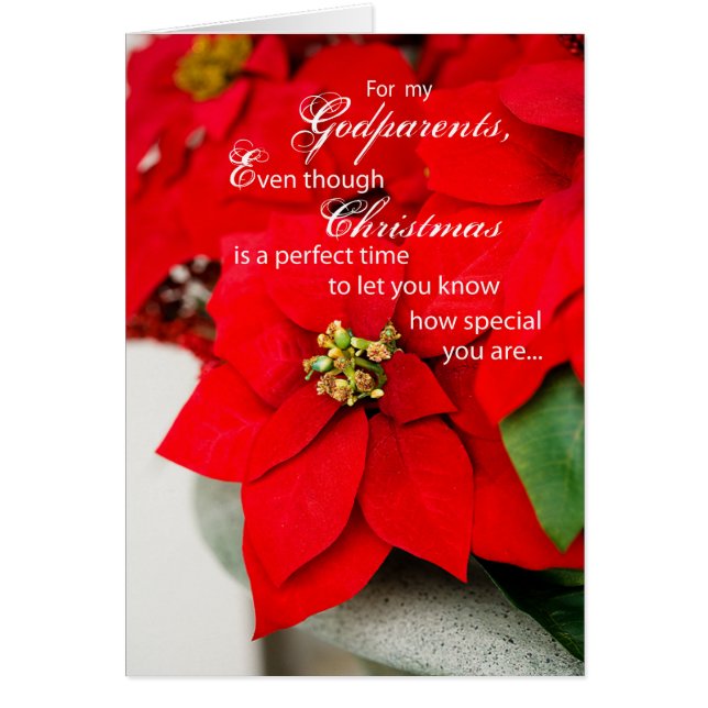 GodEltern Poinsettia Frohen Festtage (Vorne)