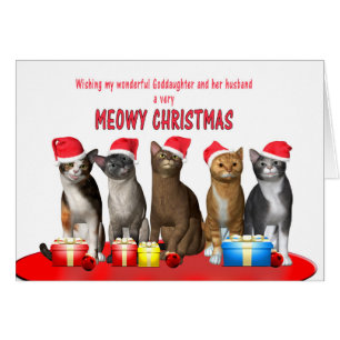 Godgirl et mari, Chats en casquettes de Noël