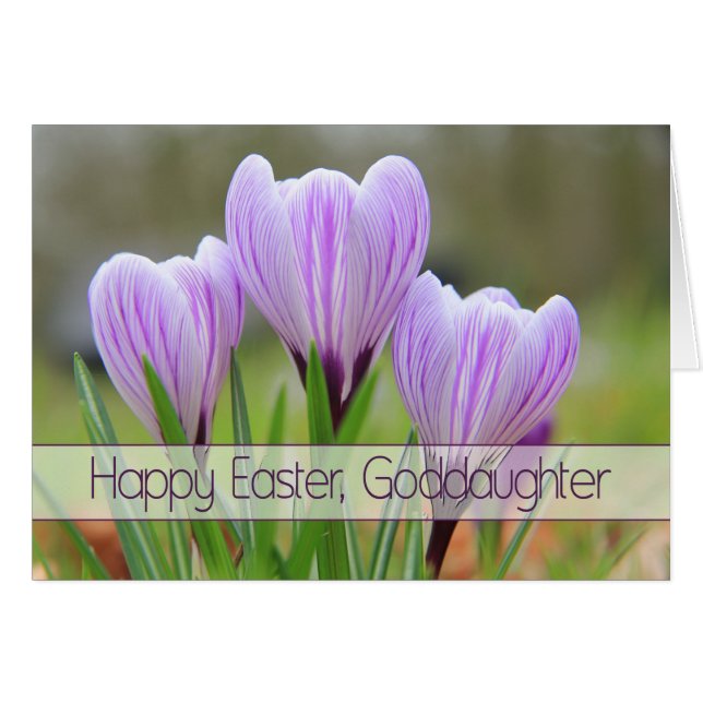 Godgirl Happy Pâques Crocus pourpres (Devant horizontal)