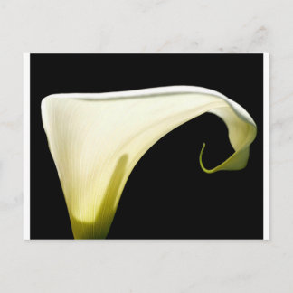 Gods Glory Postkarte