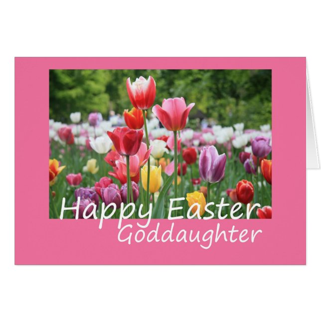 Godtoy Happy Oaster (Vorderseite (Horizontal))