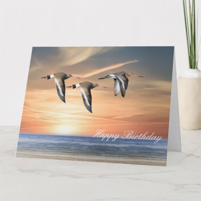 Godwins in Flight Karte (Vorderseite)