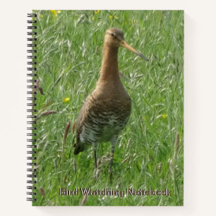 Godwit mignon dans la poussière d'herbe. Carnet d'