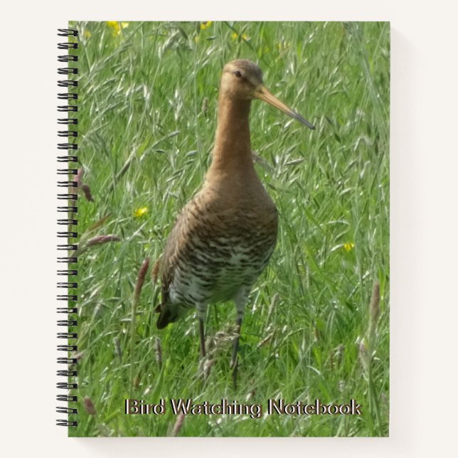 Godwit mignon dans la poussière d'herbe. Carnet d' (Devant)