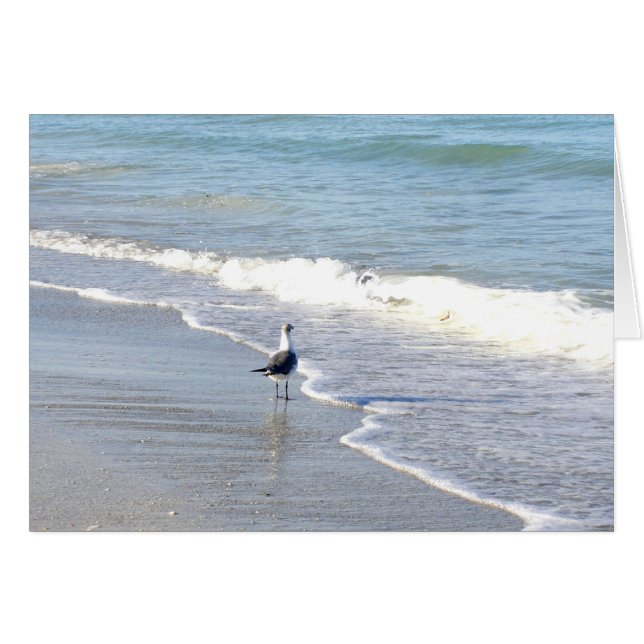 Goéland dans le Surf (Devant Horizontal)