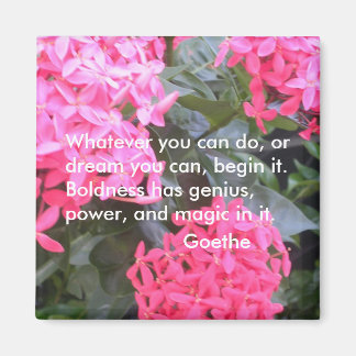 Goethe Motivational Quotation Magnet