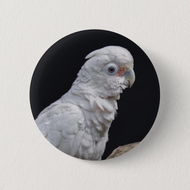Goffin's Cockatoo-Abzeichen Button (Vorderseite)