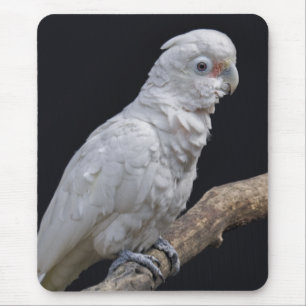 Goffins Cockatoo Mousemat Mousepad
