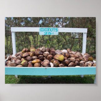 Going Coconuts Poster
