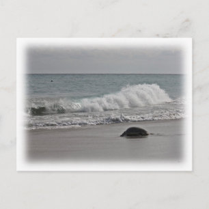 Going Zuhause Postkarte