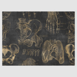 Gold Anatomie Zeichnungen auf schwarzer Decoupage Seidenpapier