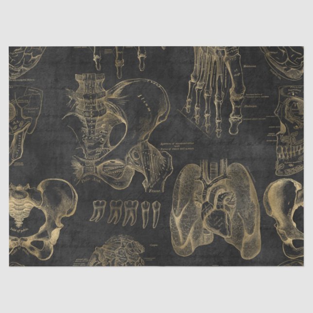 Gold Anatomie Zeichnungen auf schwarzer Decoupage Seidenpapier (Vorderseite)