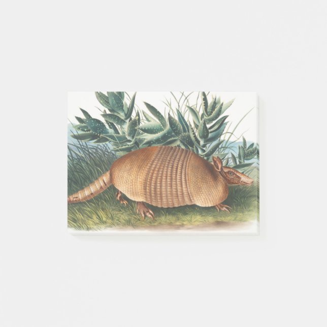 Gold Beige Nine-banded Armadillo Post-it Klebezettel (Vorderseite)