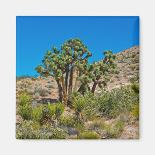 Gold Butte National Monument Magnet