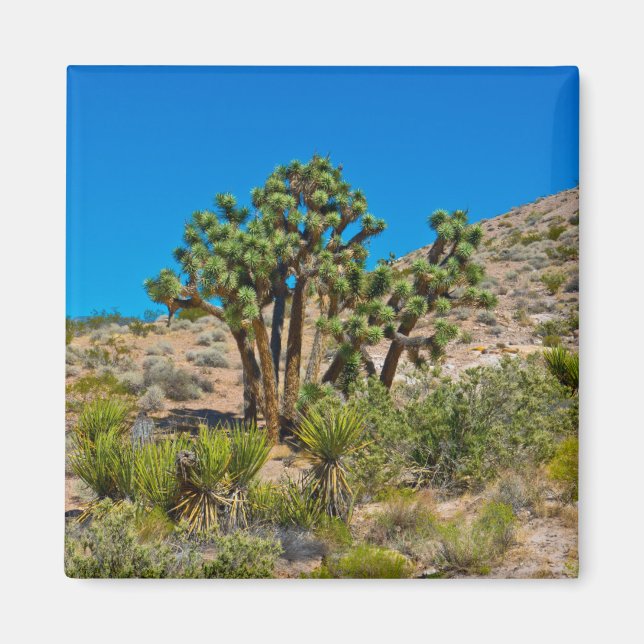 Gold Butte National Monument Magnet (Vorne)