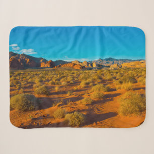 Gold Butte National Monument, Mud Road Vista Sherpadecke