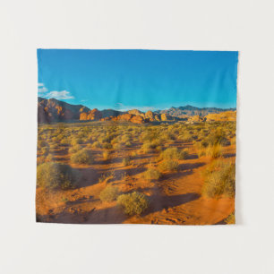 Gold Butte National Monument, Mud Road Vista Wandteppich