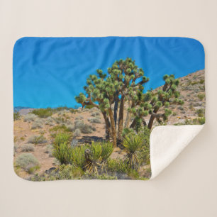 Gold Butte National Monument Sherpadecke